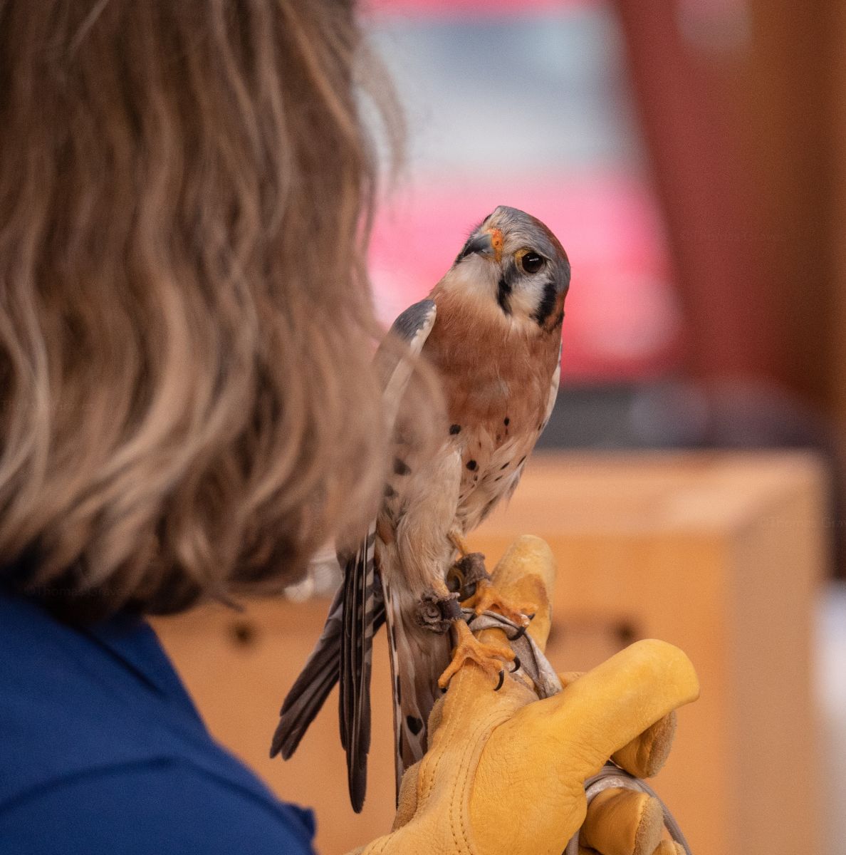 Photo by Elena Georgi