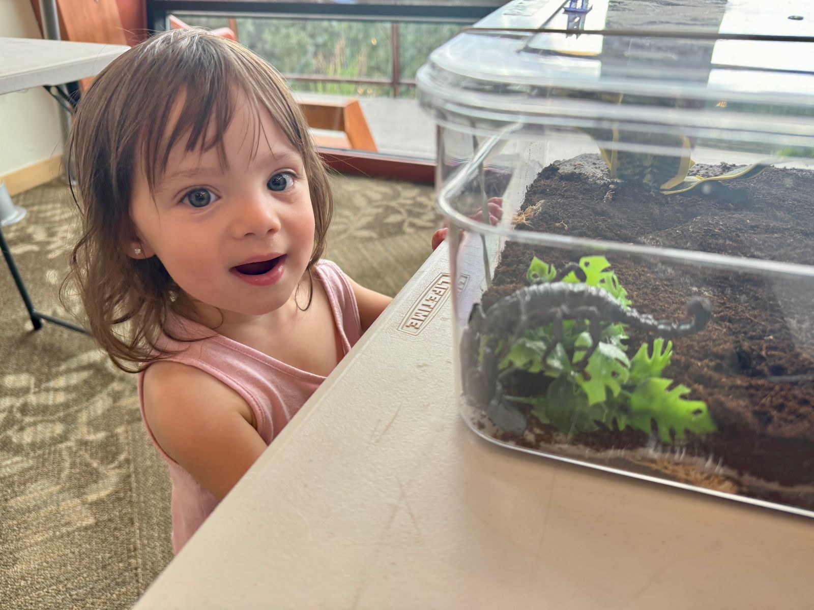 Photo by Elena Georgi