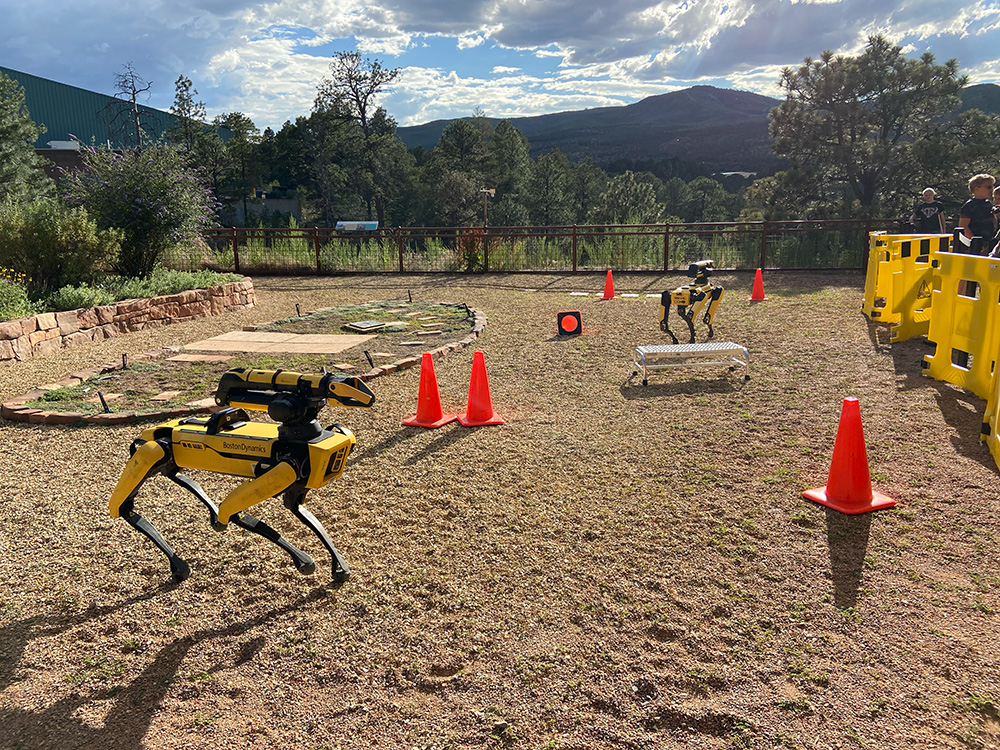 Photo by Elena Georgi