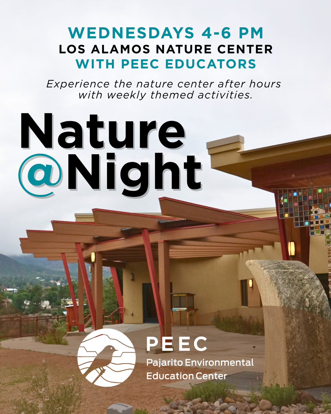 Nature%20%40%20Night%20(5).png