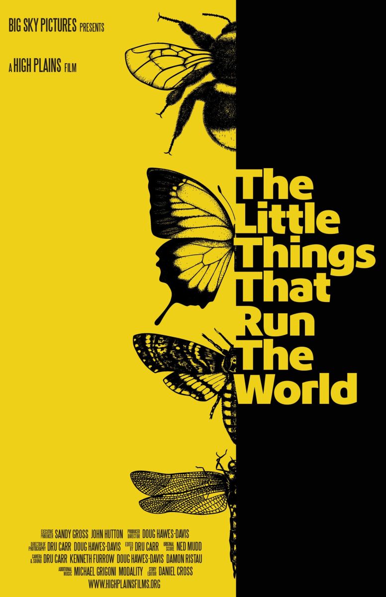 Photo by Elena Georgi